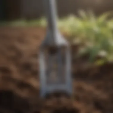 Close-up of the durable steel prongs on the weeder hoe