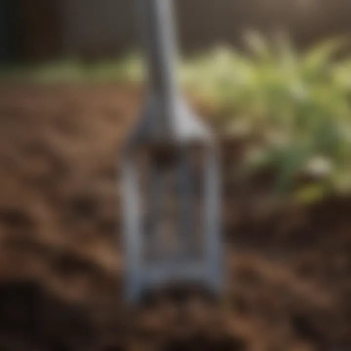Close-up of the durable steel prongs on the weeder hoe