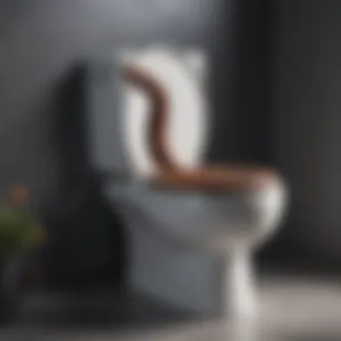 Durable Toilet Snake
