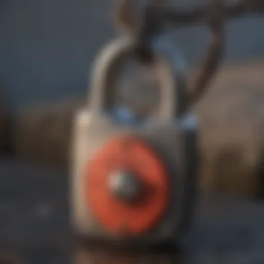 Reliable Performance in Harsh Conditions Durable Weather-Resistant Padlock