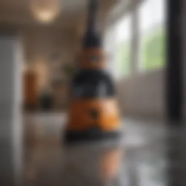 Eco-Friendly Cleaning Solution