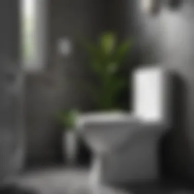 Eco-friendly features of It Works toilet cleaner