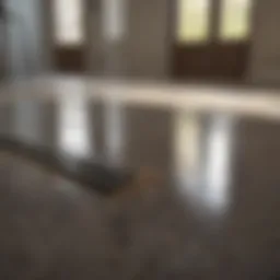 Eco-Friendly Floor Cleaning Solution