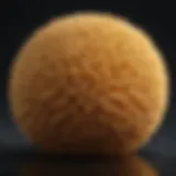 Eco-Friendly Natural Fiber Sponge