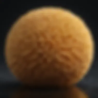 Eco-Friendly Natural Fiber Sponge Eco-Friendly Natural Fiber Sponge