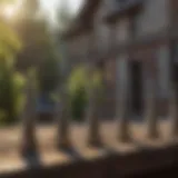 Innovative Bird Repellent Spikes Bird repellent spikes for property protection