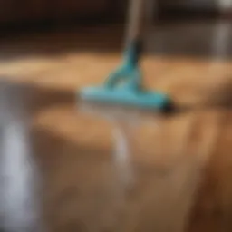 Eco-Friendly Hardwood Floor Cleaner