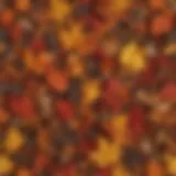 A vibrant autumn scene with leaves collected in a neat pile