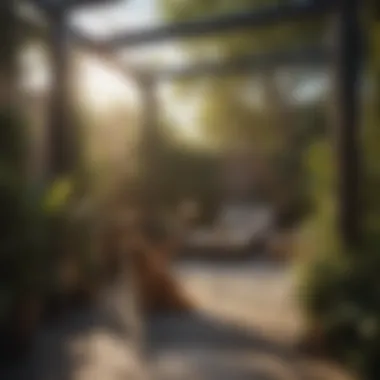 Pet-Friendly Backyard Enclosure A serene backyard showcasing a pet-friendly enclosure