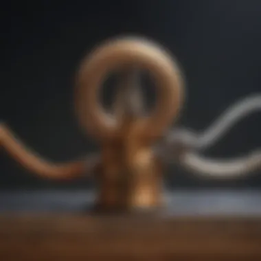 Using rubber band technique for screw extraction