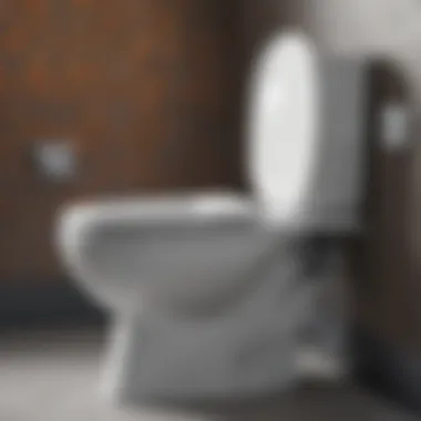 Innovative Cleaning Technology Effective Clip-On Toilet Bowl Cleaner Mechanism