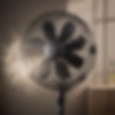 Efficient Air Circulation of Oscillating Stand Fan