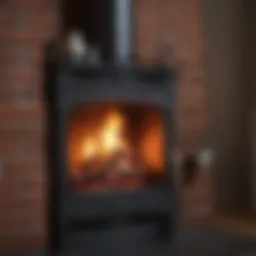 Elegant chimney inspection equipment