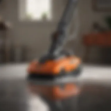 Efficient Cleaning Device