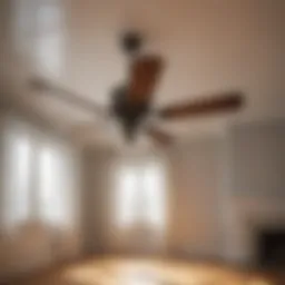 Efficient cleaning with quickie ceiling fan duster