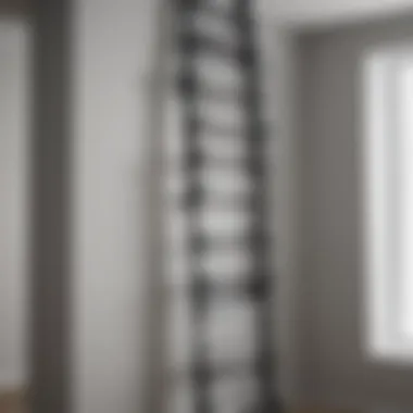 Efficient Hook System for Commercial Ladder Storage