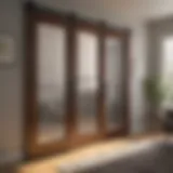 Elegant craftsmanship of 3 lite barn doors