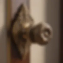 Elegant antique brass bedroom door knob with intricate floral design