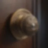 Elegant Brass Center Door Knob Hardware