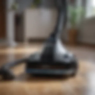 Elegant Design Elegant Design of Sanitaire Vacuum