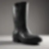 Sleek and Stylish Muck Boot Elegant Muck Boot on White Background