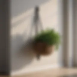 Elegant Plant Basket Hook
