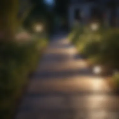 Soft Pathway Lights for Guidance Soft pathway lights guiding the way in a garden