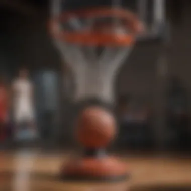 Enhance Your Playing Atmosphere with a Hoop Light Kit Enhance Your Playing Atmosphere with a Hoop Light Kit