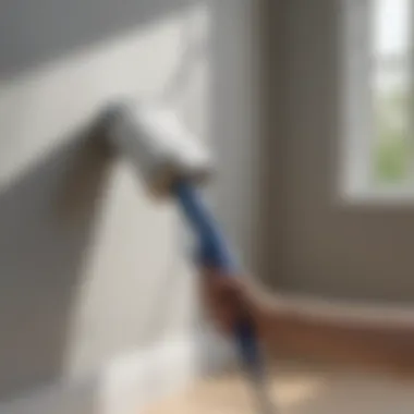 Ergonomic Handle Paint Roller