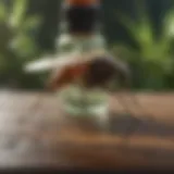Essential Oils Mosquito Repellent