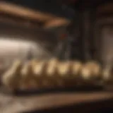 Brooder Setup for Chicks Illustration of a brooder for chicks