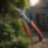 Pruning Shears Essential Yard Tool - Pruning Shears