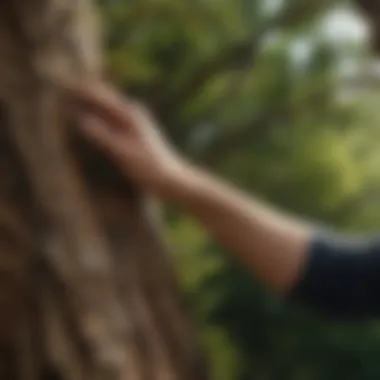 Delicate Expertise in Tree Shaping Close-up of an expert hand delicately shaping a tree branch