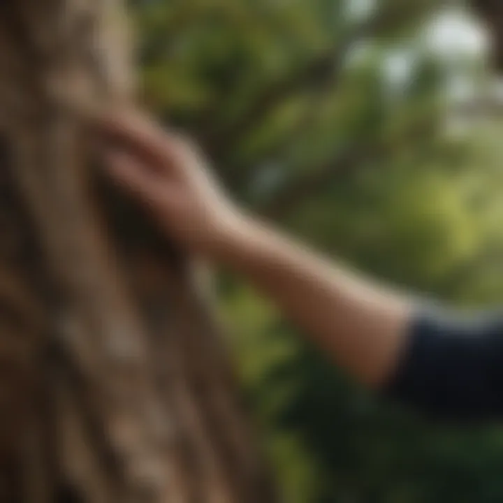 Delicate Expertise in Tree Shaping Close-up of an expert hand delicately shaping a tree branch