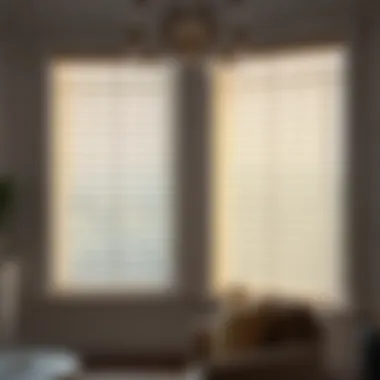 Glorious Exploring 38 x 60 Blinds: A Detailed Examination Glorious Exploring 38 x 60 Blinds: A Detailed Examination