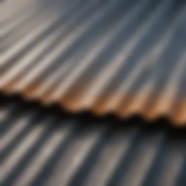 Lightweight Corrugated Plastic Roofing Showcase Lightweight nature of corrugated plastic roofing showcased