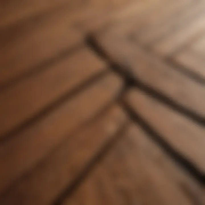 Intricate Minwax Hickory Grain Details Close-up of Minwax Hickory grain patterns in natural light