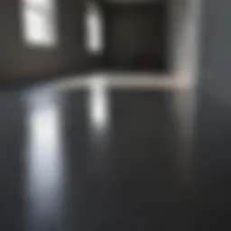 Sleek charcoal garage floor paint