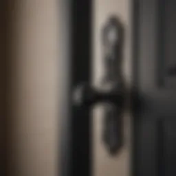 Elegant Handleset in Classic Black