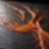 Artistic depiction of acrylic paint swirling on a granite surface