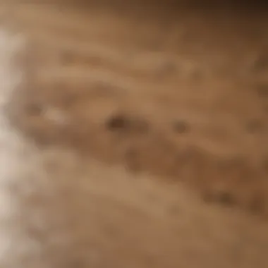 Wood filler drying process for seamless finish