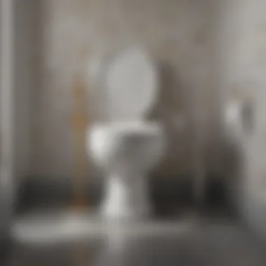 Opulence Deluxe Toilet Kit Luxurious toilet kit with opulent finishes