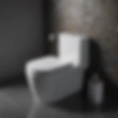 Sleek Elegance Toilet Kit Modern toilet kit in sleek design