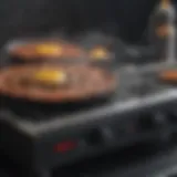 Blackstone Griddle with Precision Heat Control
