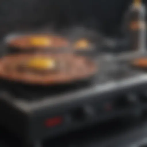 Blackstone Griddle with Precision Heat Control