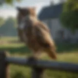Majestic owl decoy perched on a fence near farm field