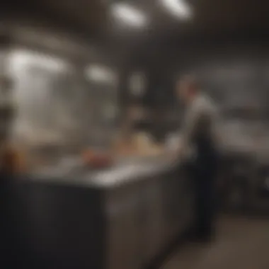 Maintenance tips for Emerson sink disposal systems displayed in an infographic