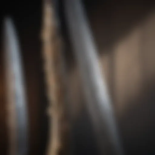 Elegant blade design showcasing intricate craftsmanship