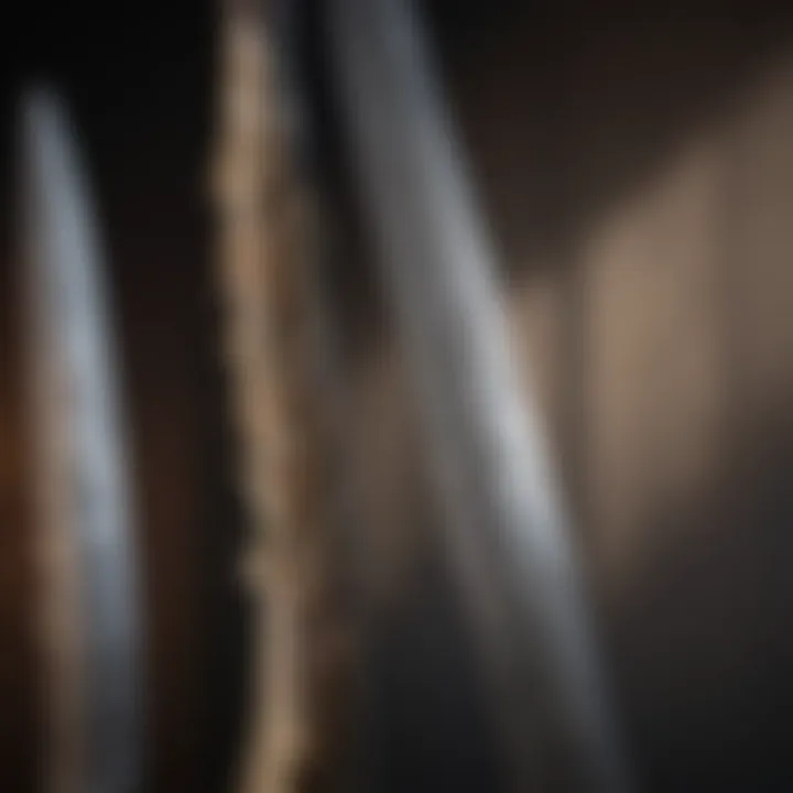 Elegant blade design showcasing intricate craftsmanship