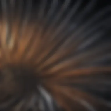 Close-up of durable and high-quality fan blade material
